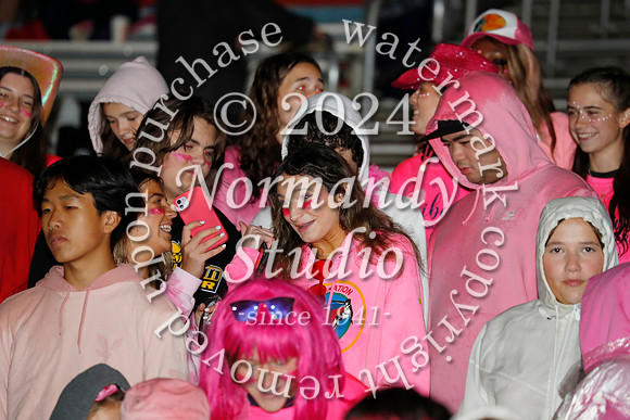LIB_fans_24