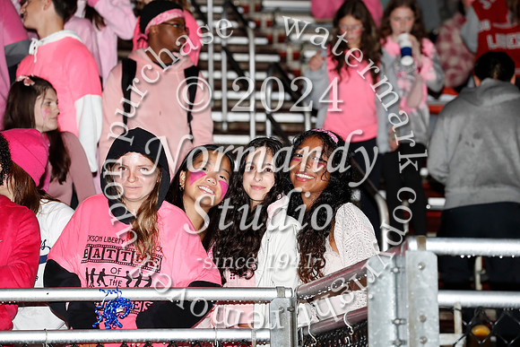 LIB_fans_23