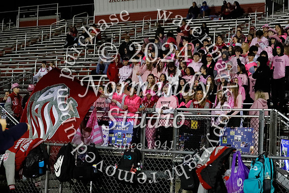 LIB_fans_25
