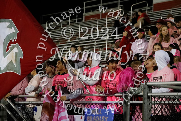 LIB_fans_28