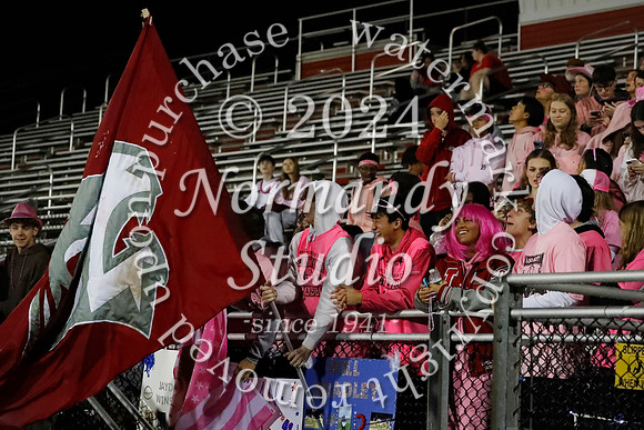 LIB_fans_29