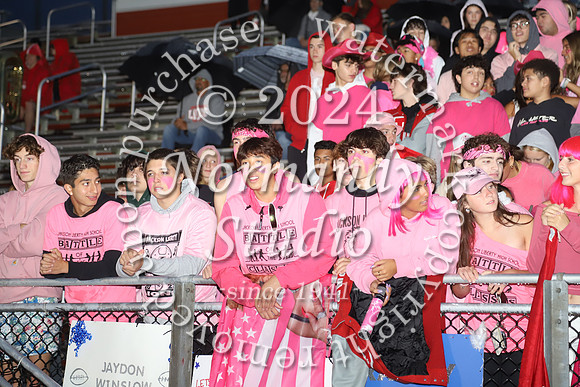 LIB_fans_31