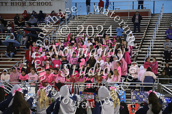 LIB_fans_30