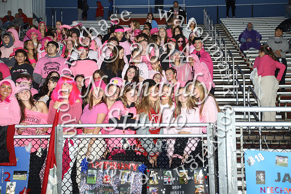 LIB_fans_33