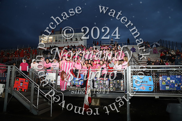 LIB_fans_37