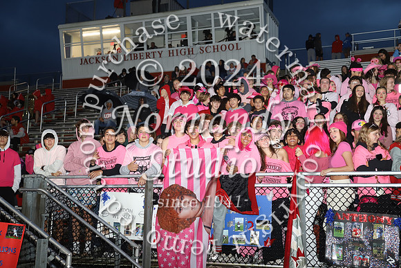 LIB_fans_36