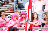 LIB_fans_01