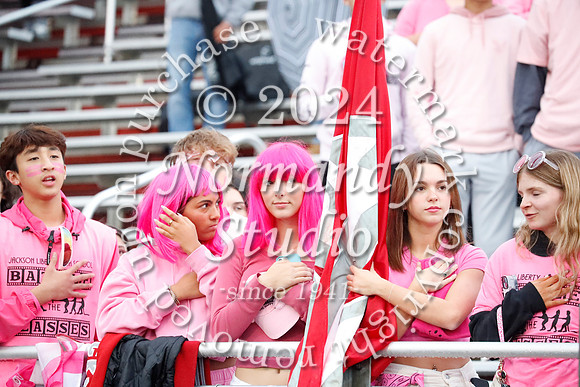 LIB_fans_01