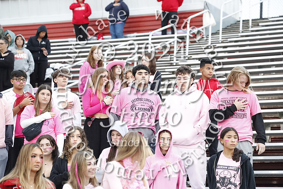 LIB_fans_03