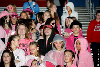 LIB_fans_04