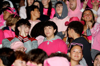LIB_fans_05