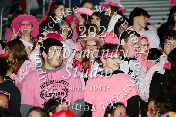 LIB_fans_06