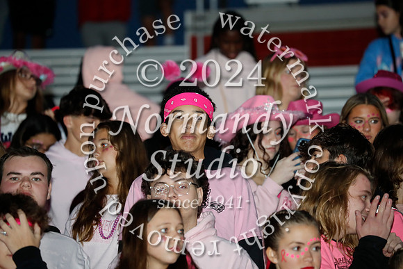 LIB_fans_07