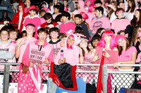 LIB_fans_09
