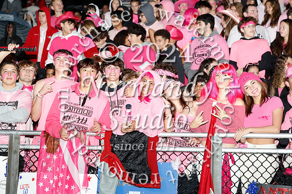 LIB_fans_09