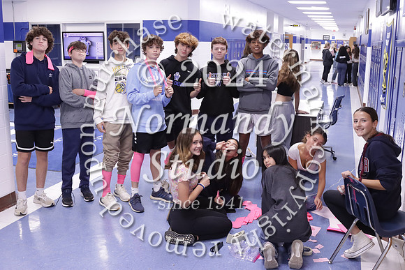 WHS_slc_25