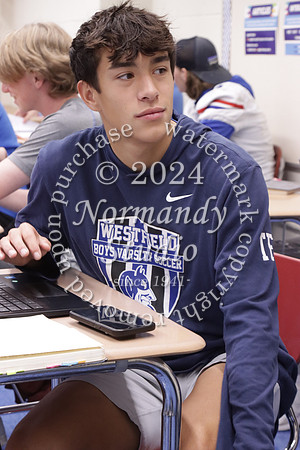 WHS_slc_40