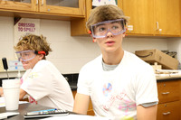 WHS_slc_015