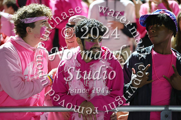 SPF_fans_11