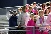 SPF_fans_13