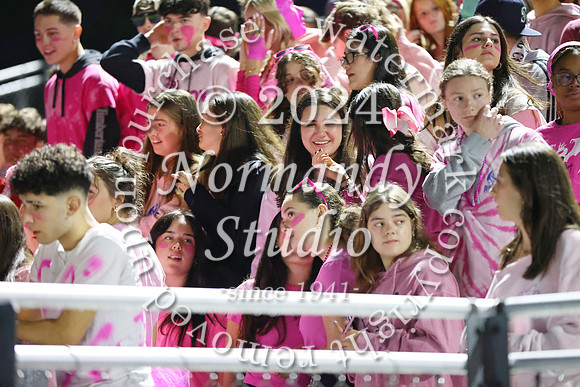 SPF_fans_29