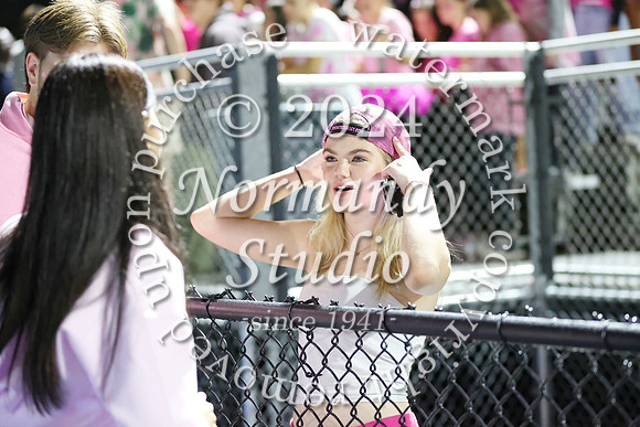 SPF_fans_31