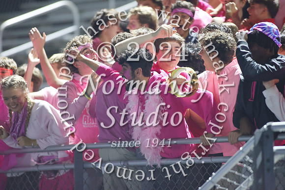 SPF_fans_33