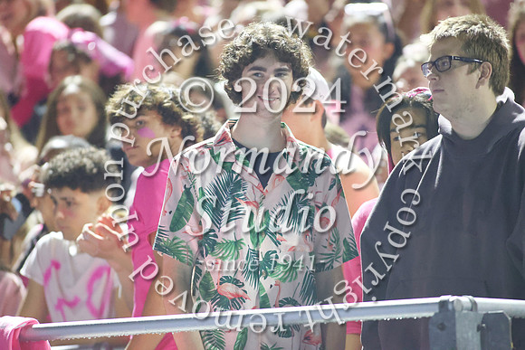 SPF_fans_42