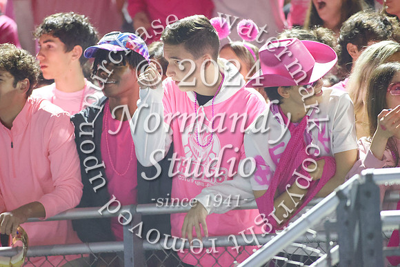 SPF_fans_46