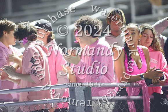 SPF_fans_51