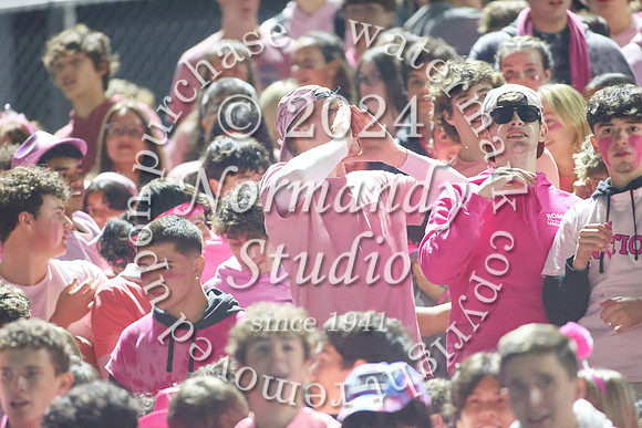 SPF_fans_53