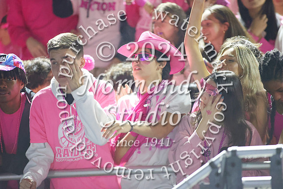 SPF_fans_55