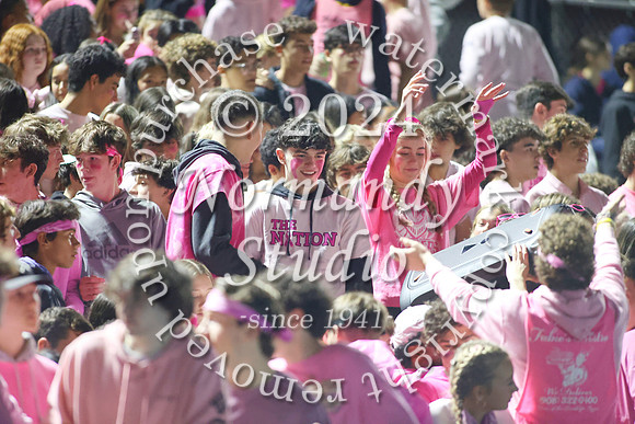 SPF_fans_58