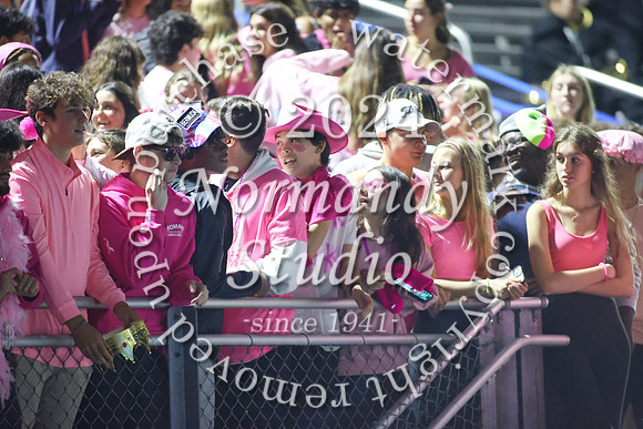 SPF_fans_60