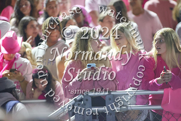 SPF_fans_63