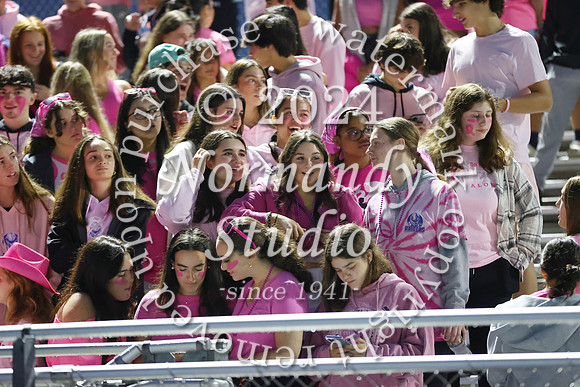SPF_fans_03