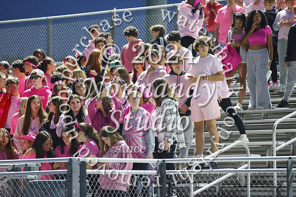SPF_fans_02