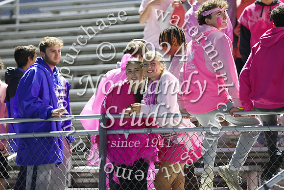 SPF_fans_05