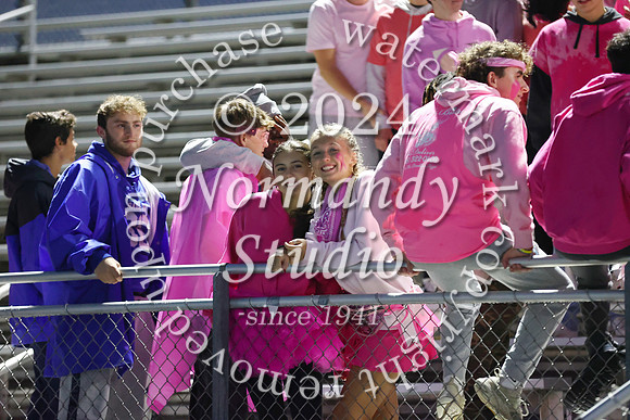 SPF_fans_04