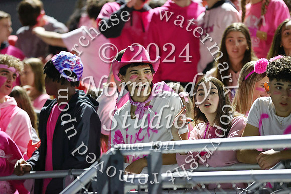 SPF_fans_06