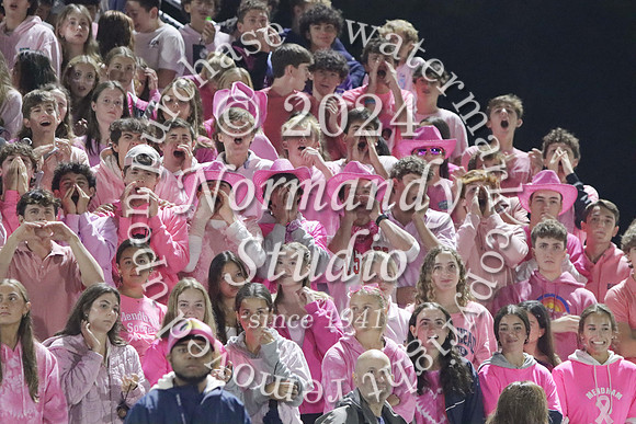 WMM_fans_05