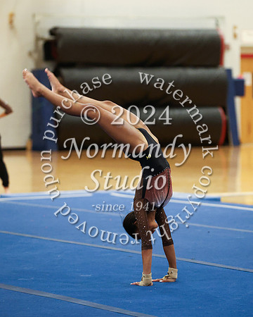 WTG_gy_24