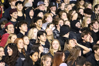 VOR_fans_07
