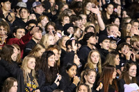 VOR_fans_13