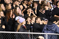 VOR_fans_16