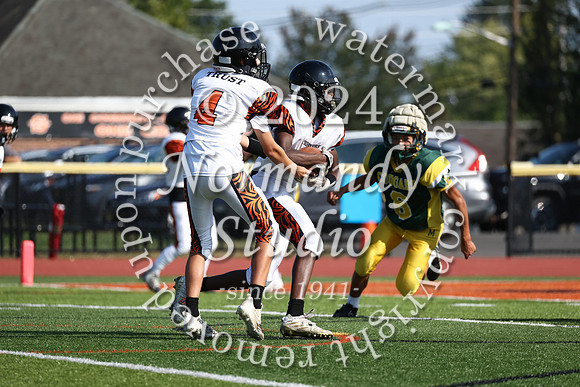 SVL_fb-f_36