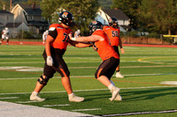 SVL_fb_01