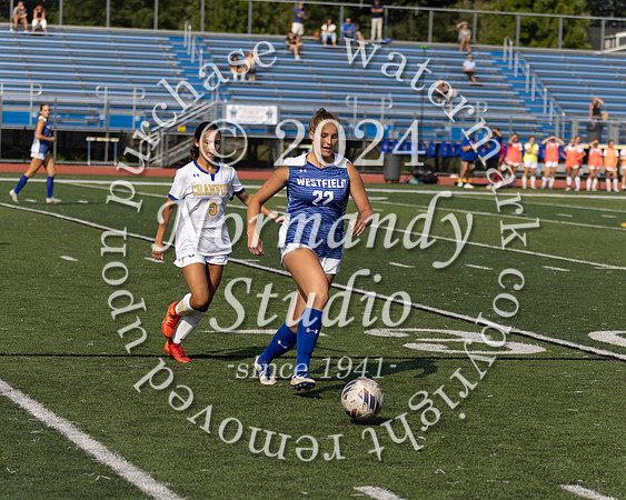 WHS_so-g_20