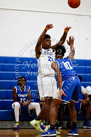 SHP_56_bb-jv-t+a