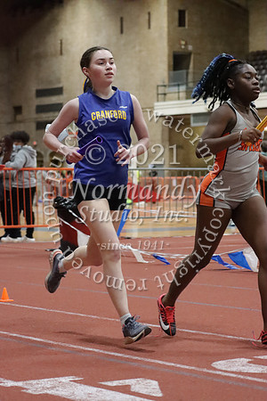 CHS_29_wt-g